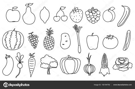 Set Simple Drawing Fruits Vegetable Outline Healthy Food Illustration ⬇ Vector Image by ...