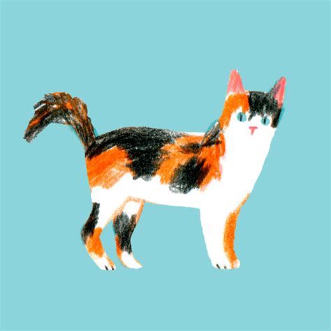 Celebrate #Caturday with 15 Cat Illustrations of Fab Felines