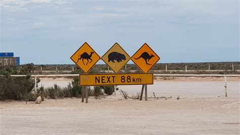 Driving The Nullarbor - Tips and Hints - Road Trip Australia