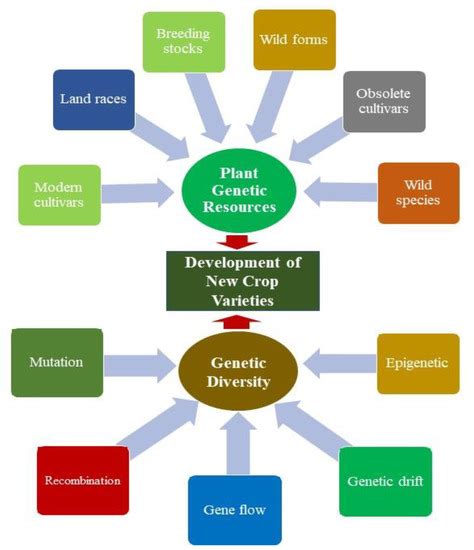 Genes | Free Full-Text | Genetic Diversity, Conservation, and ...