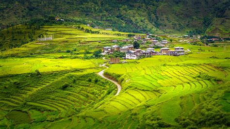 How to book a trip to Bhutan: everything you need to know