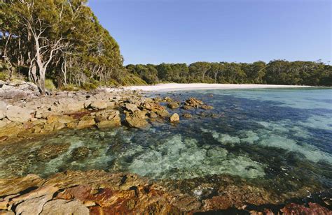 Jervis Bay National Park | NSW National Parks