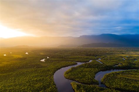 Amazônia: características, biodiversidade, ameaças - Biologia Net