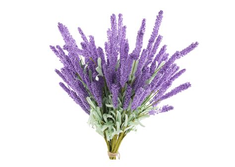 Bouquet Of Purple Lavender Photo, Flowers, Lavender, Lavender Flowers ...