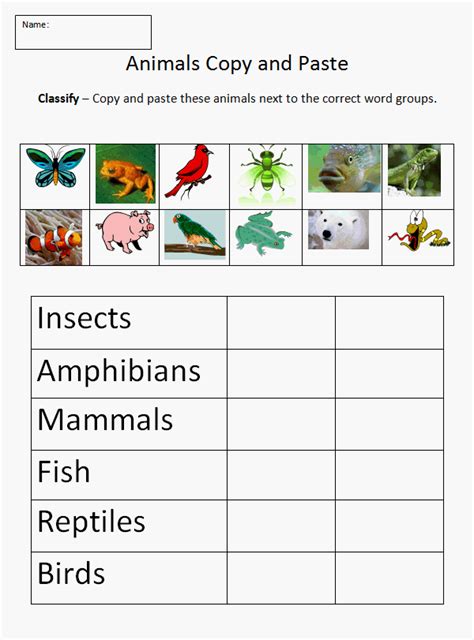 SC.3.L.15.1- Classify animals into major groups (mammals, birds, reptiles, amphibians, fish ...