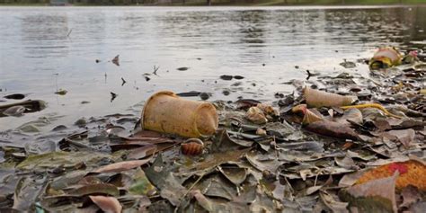 Contaminación del Agua - Concepto, causas y consecuencias