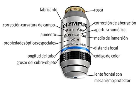 Retencion Lluvioso diámetro que es la apertura numerica del microscopio Siete Disponible Negligencia