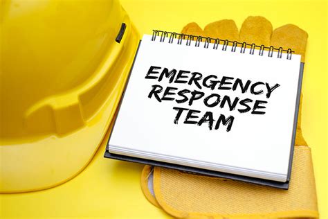 Behavioral emergency response team improves safety