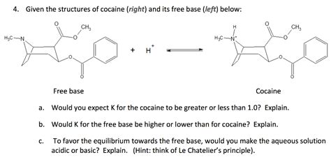 Solved Given the structure of cocaine (right) and its free | Chegg.com