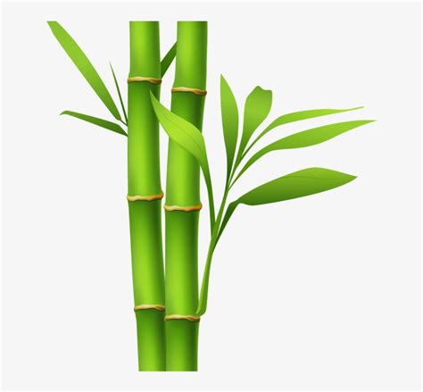 Bamboo Drawing | Free download on ClipArtMag