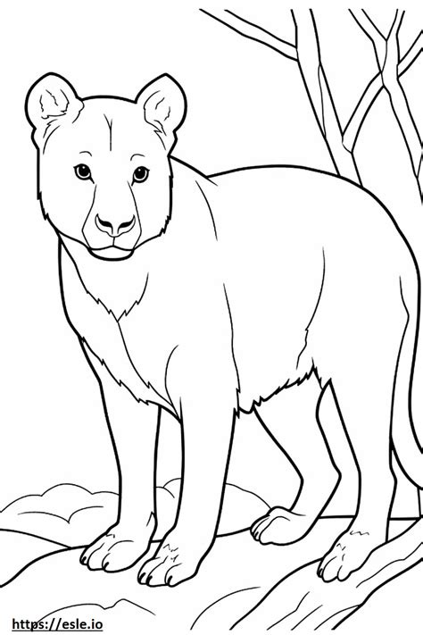 Burmese Friendly coloring page