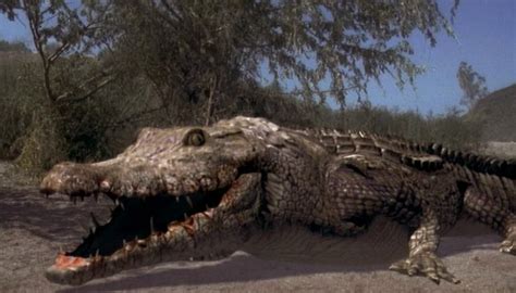 CCC: Clayton's Cinema Countdown : Crocodile (2000) Review