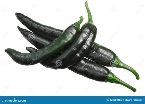 Chilaca Pasilla Chile Peppers, Paths, Top Stock Image - Image of clipping, chili: 120550485