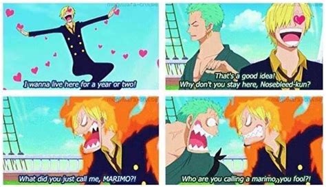 Zoro and Sanji | One piece funny, One piece meme, One piece manga