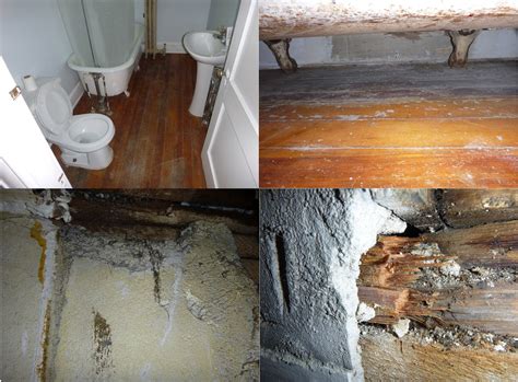 Mold & Water Damage Providence RI - Moldguys Restoration, LLC.