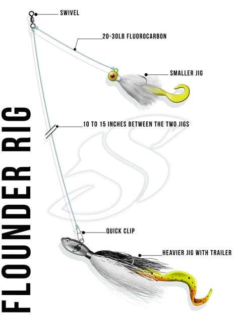 The Best Flounder/Fluke Rig For Catching Success | Salt water fishing, Fishing tips, Surf ...