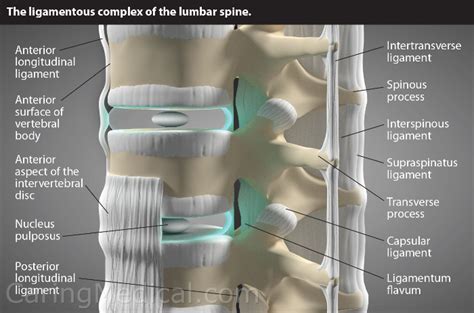 Facet Joint Osteoarthritis and Facet Arthropathy Treatments