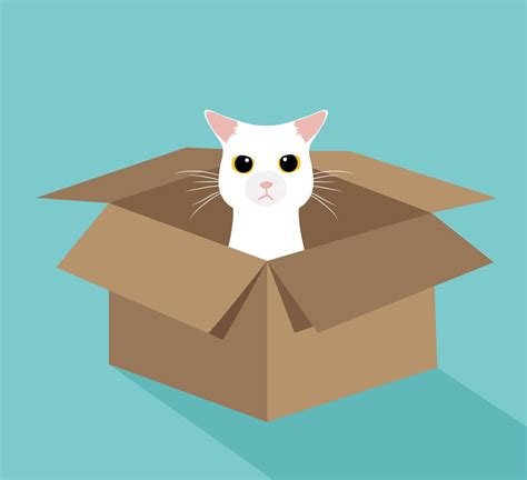 Cute white cat in the box 673171 Vector Art at Vecteezy