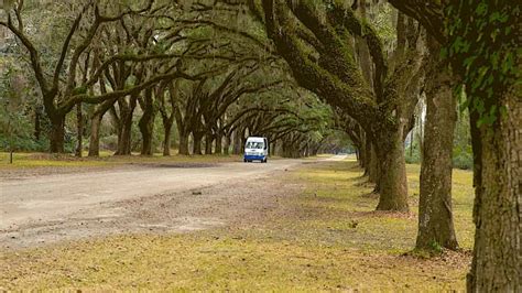 Wormsloe and Bonaventure Cemetery Tour - TripShock!