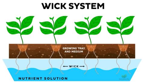 A Guide to the Benefits and Setup of Passive Wick Systems