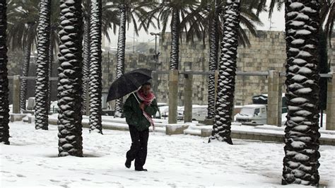 PHOTOS: Snow in Florida for the First Time in Years