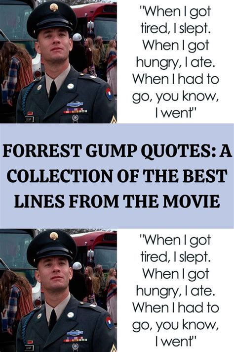 Forrest gump quotes a collection of the best lines from the movie – Artofit