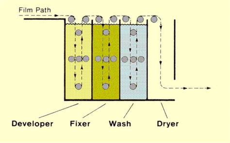 The Photographic Process and Film Sensitivity