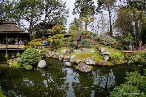 What Makes The Japanese Tea Garden Special - Aimless Travels - Travel Tips, Checklists, and Guides