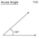 Acute Angle – Definition with Examples