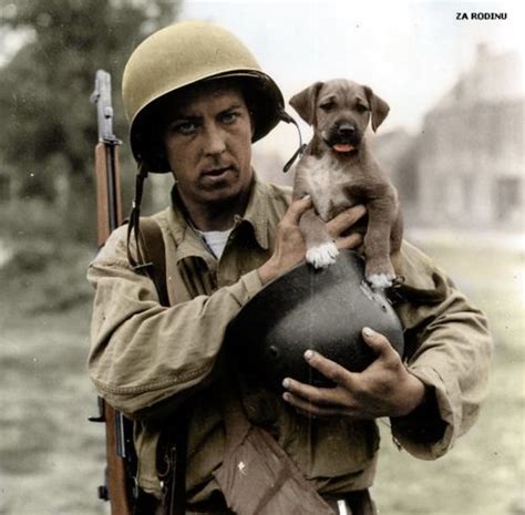 U.S. soldier with a puppy, WWII. | War dogs, World war, History