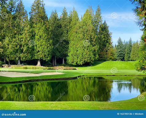 Golf Course Pond Water Hazard Reflection Stock Photo - Image of country, cart: 162785136