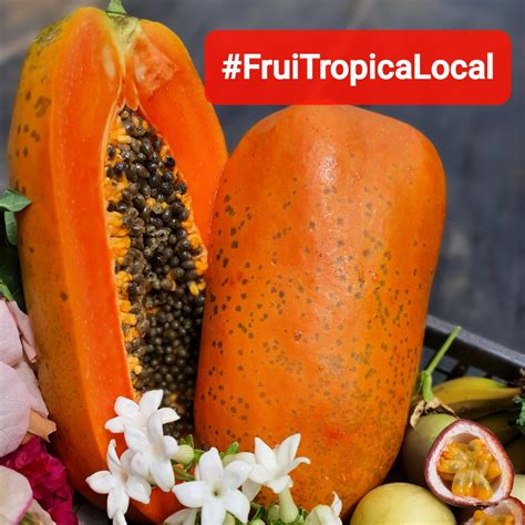 Papaye Fruitropicalocal | Algiers