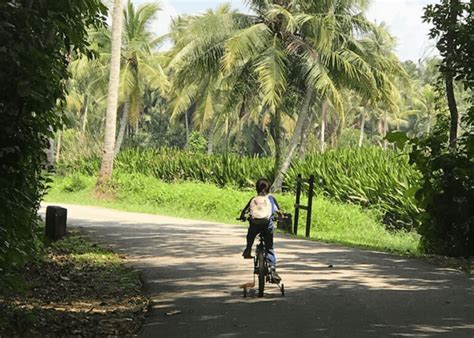 Day trippin': A guide to all things Pulau Ubin | HoneyKids Asia