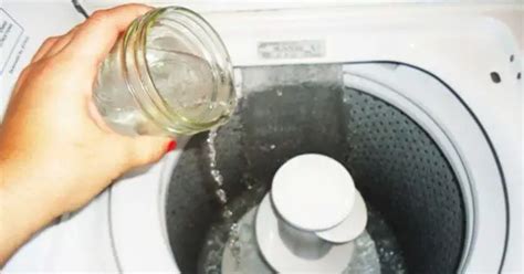 Get Cleaner Clothes By Using Vinegar While Saving A Ton Of Money ...