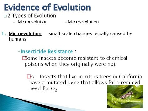 Evidence of Evolution 2 Types of Evolution Microevolution