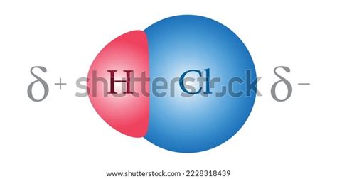 Bond Polarity Hydrochloric Acid Hcl Molecule Stock Vector (Royalty Free) 2228318439 | Shutterstock