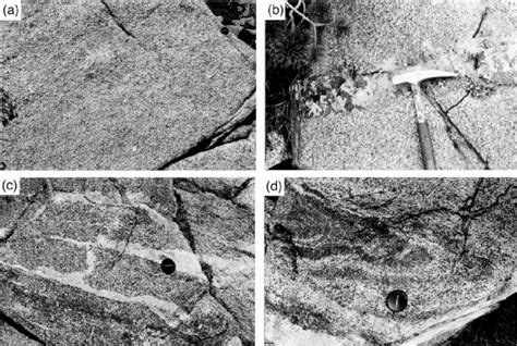 Features of the Lower Banded series. (a) Uniform norite of Norite zone... | Download Scientific ...