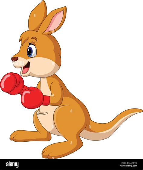 Cartoon kangaroo boxing isolated on white background Stock Vector Image & Art - Alamy