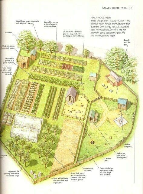 28 Farm Layout Design Ideas to Inspire Your Homestead Dream | Farm ...