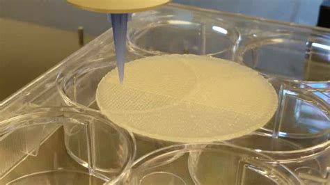 ESA - 3D printing skin