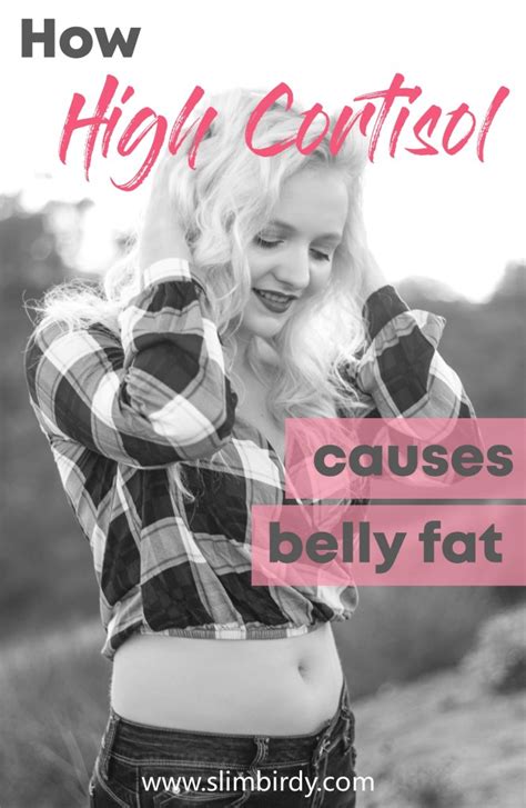 How high cortisol causes belly fat - Slimbirdy