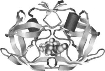 Crystal structure of ritonavir-PR complex [26]. | Download Scientific ...