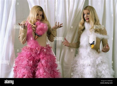 WHITE CHICKS, MARLON WAYANS, SHAWN WAYANS, 2004 Stock Photo - Alamy