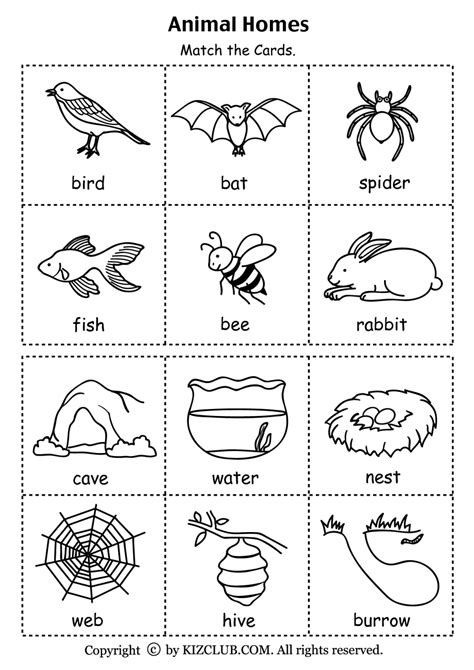 Animals Habitat Worksheet For Kindergarten