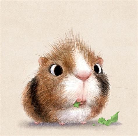 Tenere immagini che ci riportano alla nostra infanzia | Cute animal illustration, Animal ...