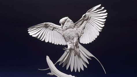 Birds of Light and Shadow: Intricate Illusions in Paper | Living Bird ...