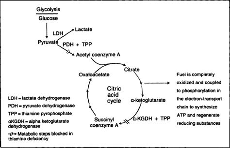 Metabolic Acidosis and Thiamine Deficiency - Mayo Clinic Proceedings