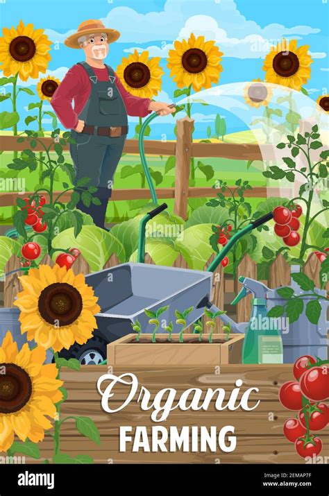 Farming vector poster, agriculture industry. Farmer at garden watering ...