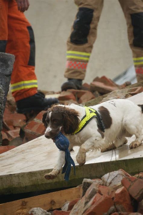 Building Collapse, Disaster Zone Stock Photo - Image of rescue, skill: 100415018