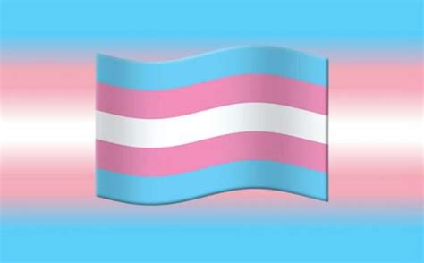 We're finally getting a transgender flag emoji in 2020